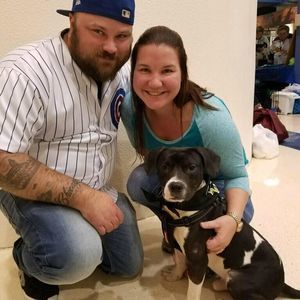 Meet your Posher, Victoria